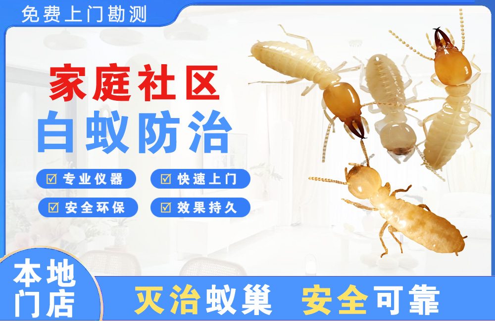 昆山家庭社区白蚁防治