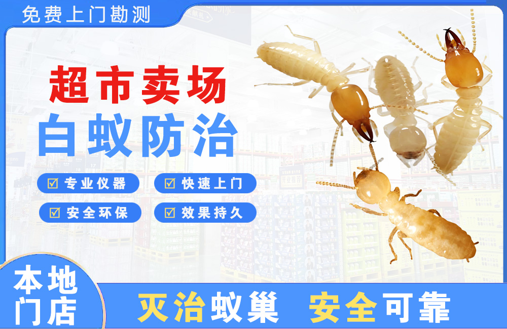 昆山超市卖场白蚁防治