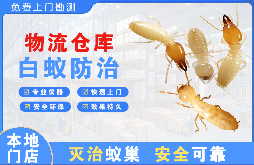 昆山物流仓库白蚁防治