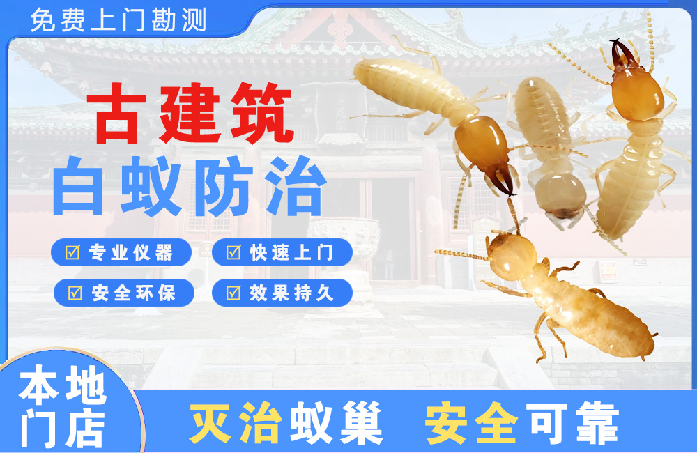 昆山古建筑白蚁防治