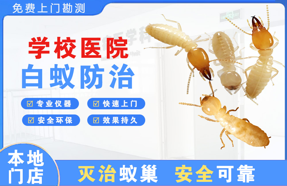 昆山学校医院白蚁防治