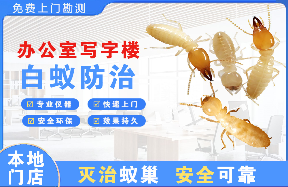 昆山办公室写字楼白蚁防治