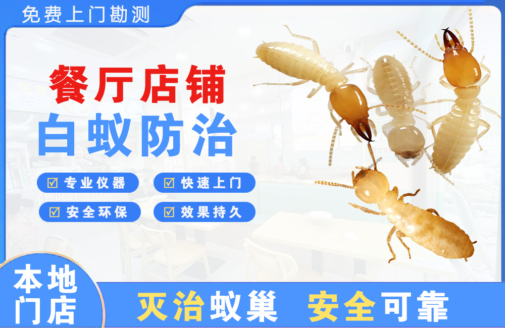 昆山餐厅店铺白蚁防治